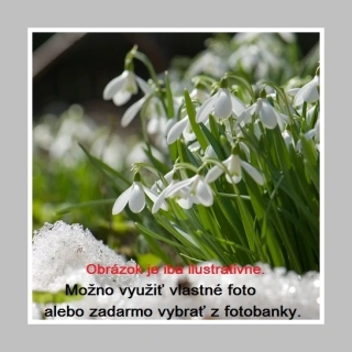 Vykurovací obraz 400W - Ľubovoľný motív